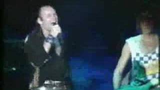 Vasco Rossi Live Vivere Una Favola Fronte Dal Palco [upl. by Trager]