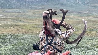 Caribou hunting Sermilik greenland  Tuttunniarneq sermilik [upl. by Odom]