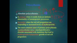 pathology  dr Tahseen  Polycythemia  Primary VS Secondary [upl. by Ribal]