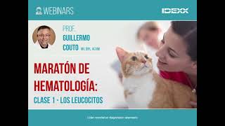 IDEXX  MARATÓN DE HEMATOLOGÍA  Clase 1  Los LeucocitoS [upl. by Ahsinert439]