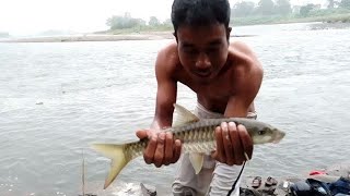 Handline fishing in heavy cold autumn rainTough fight with notorious fighter golden Mahseer [upl. by Culbert]