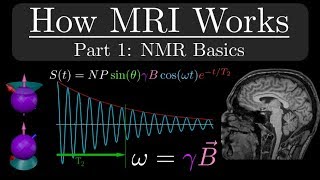 How MRI Works  Part 1  NMR Basics [upl. by Gnof]