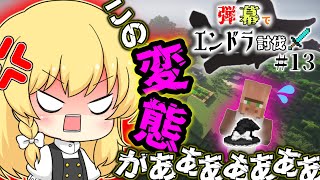 魔理沙の帽子を嗅いだ犯人は！？【ゆっくりマイクラ実況】弾幕でエンドラ討伐13 [upl. by Medina]