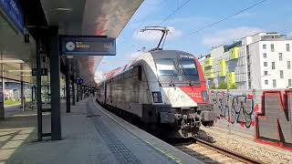 Wien Stadlau SBahn Wien S80 train nr 25031 REX 1 train Wiener Neustadt Břeclav [upl. by Piane218]