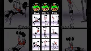 ✅ CHEST WORKOUT  Grow A Bigger Chest With These 4 Movements shorts youtubeshorts gym chest [upl. by Adebayo]