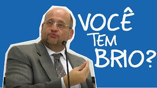 Motivação para estudar BRIO  Clóvis de Barros [upl. by Prudy172]