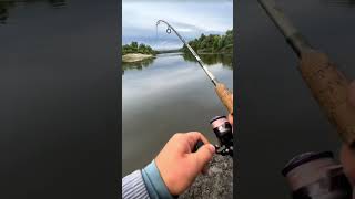 quotSafely Removing a Fishing Hook Essential Tips for Luya Pike Fishing Beginnersquot [upl. by Naujet]