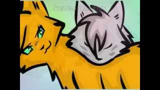 When Im Kitty [upl. by Demmahum279]