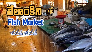 Velankanni Fish Market  Nagapattinam  Tamilnadu  Fish Market [upl. by Ecnerewal]