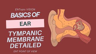 Tympanic Membrane in Detail  External Ear  ENT  ENTopic Vision [upl. by Bonneau]