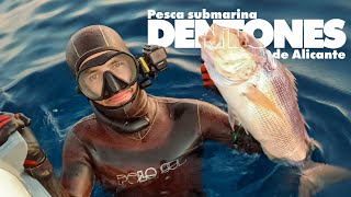 🔱Pesca submarina en ALICANTE Aprendiendo a pescar Ep7 DENTONES A LA ESPERA [upl. by Klepac]