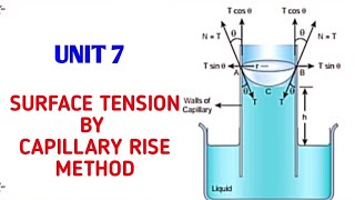 Surface tension by capillary rise method  Unit 7 Properties of matter  11 Physics Samacheer kalvi [upl. by Hewart331]