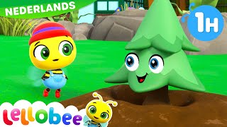 O kleine boom  Lellobee Nederlands  Kinderliedjes  Leervideos voor kinderen [upl. by Airemaj149]