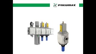 Documentazione elettrovalvola di sicurezza Pneumax [upl. by Atiroc]