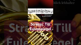 Strauss‘ Till Eulenspiegel‘s Merry Pranks Horn solo frenchhorn [upl. by Ytteb]