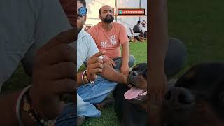 Isko mat ❌ bhulna 😳😳😢😢 shortsfeed rottweiler funnyshorts ytviral ytshorts [upl. by Alak]