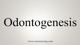 How To Say Odontogenesis [upl. by Carlisle]