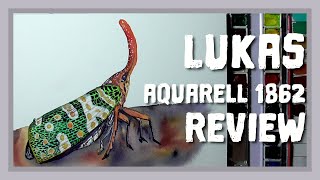 Review Lukas Aquarell 1862 Watercolours Swatching Mixing Chart and a weird insect painting Vegan [upl. by Aeneas759]