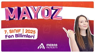 Mayoz Konu Anlatımı  7 Sınıf Fen Bilimleri  2025 [upl. by Diamond]