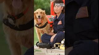 Honoring the heroic stories of 911 rescue dogs and their lasting impact on America [upl. by Moorefield]