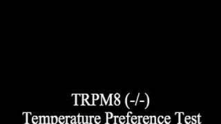 Temperature preference [upl. by Andel]