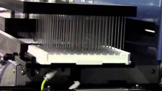 RapidWash Microplate Washer Close Up [upl. by Gnat715]