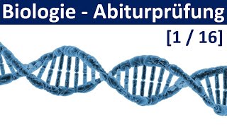 Biologie Abiturprüfung 2025  Tipps und Aufgabentypen 12  Abitur Biologie 116 [upl. by Enohs]