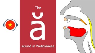 🇻🇳 Vietnamese  ă sound Learn sound system in Vietnamese Vietsound [upl. by Dwain]