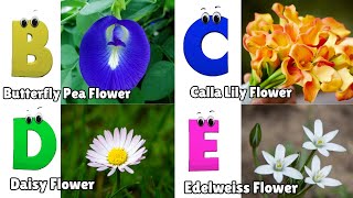 Flowers ABC Song for Kids  Phonics for Kids  English Alphabet Letters [upl. by Eneroc]