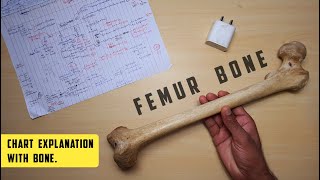 Femur Bone  Part 1  Chart Explanation with Femur Bone [upl. by Kapoor]