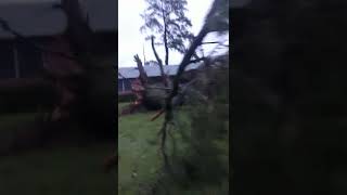 Hurricane Ian damage Bartow Florida [upl. by Ekyt]