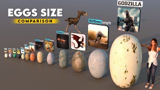 Eggs Size Comparison 3D  Biggest Eggs 2022 [upl. by Aiduan]