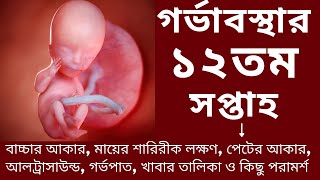 গর্ভাবস্থার ১২ সপ্তাহ।সপ্তাহ অনুযায়ী গর্ভাবস্থা ১২।Pregnancy 12th week signs and symptoms in Bangla [upl. by Tayib]