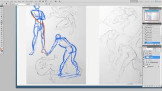 Gesture Drawing Critique Shoebill [upl. by Etnovert]