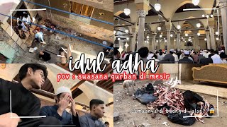 Kaget Jadi gini Idul adha dan qurban di Mesir [upl. by Iht668]