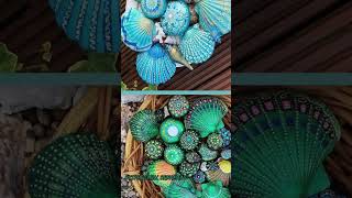 40 DIY SEASHELL EASY CRAFTS craftsdecorationdiyideasdiy [upl. by Anny]