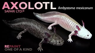 Safari Ltd ® Axolotl Ambystoma mexicanum 2024 Repaint amp Review [upl. by Avert]