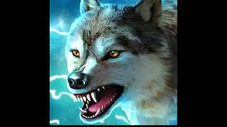 محمد الذئب Mohammed the wolf for gamess broadcast [upl. by Ebarta]