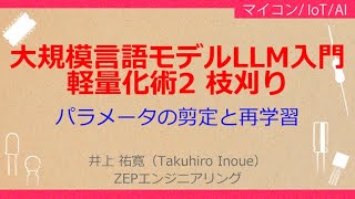 NoA117 大規模言語モデルLLMによる生成AIプログラミング［大規模言語モデルquotLLMquot入門軽量化術2「枝刈り」，剪定と再学習，大幅なパラメータ削減が可能］ [upl. by Ahseinet]