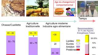 Les lipides et dérivés BIOCHIME PACES 1ére année médecine [upl. by Rabi364]