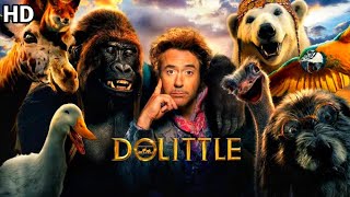 Dolittle Full Movie In Hindi Dubbed HD  New Hollywood Movie  Facts amp Review [upl. by Nevur220]