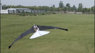 Ornithopter with morphingcoupled wingbeat pattern [upl. by Nodroj522]