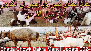 Bhatta Chowk Bakra Mandi Update 2024Bhatta Chowk Mandi Update [upl. by Anoy]