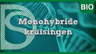 Examen biologie  Monohybride kruisingen Erfelijkheid [upl. by Obnukotalo]