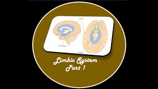 LIMBIC SYSTEM PART 1 [upl. by Aneeram]