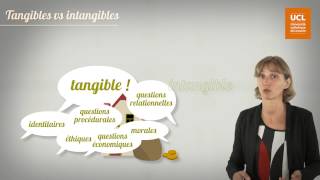 26 Motivations tangibles et intangibles [upl. by Hnilym]