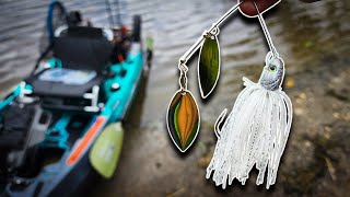 The Spinnerbait Is Crazy Good for Bass Right Now Spring [upl. by Naejeillib]