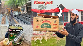 Konsa Pet Aya Hai Box Main ？ Hen Colony Ka Saman Ly Aiye 🥰 [upl. by Iva]