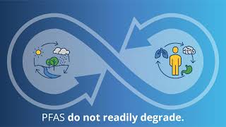 What are PFAS [upl. by Ille]