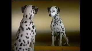 Purina One Commercial with Robert Urich [upl. by Allehs506]